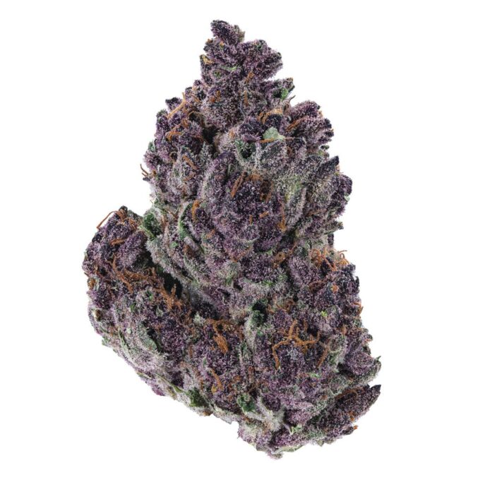 Grand-Daddy-Purple