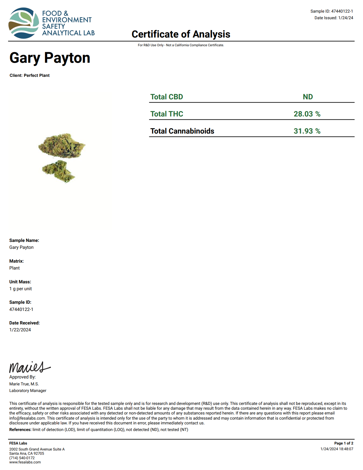 Gary Payton THCA Flower