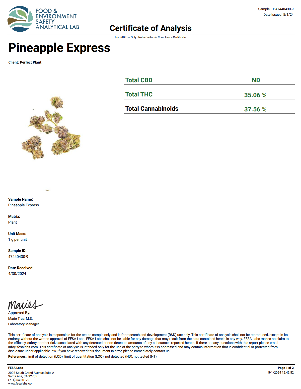 Pineapple Express THCA Flower