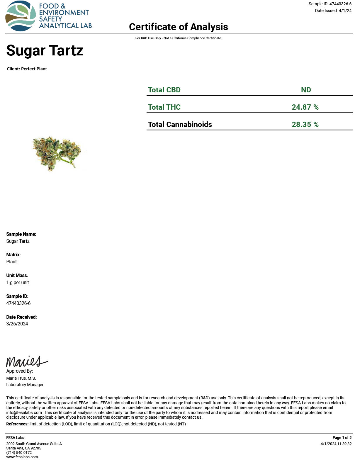 Sugar Tartz THCA Flower