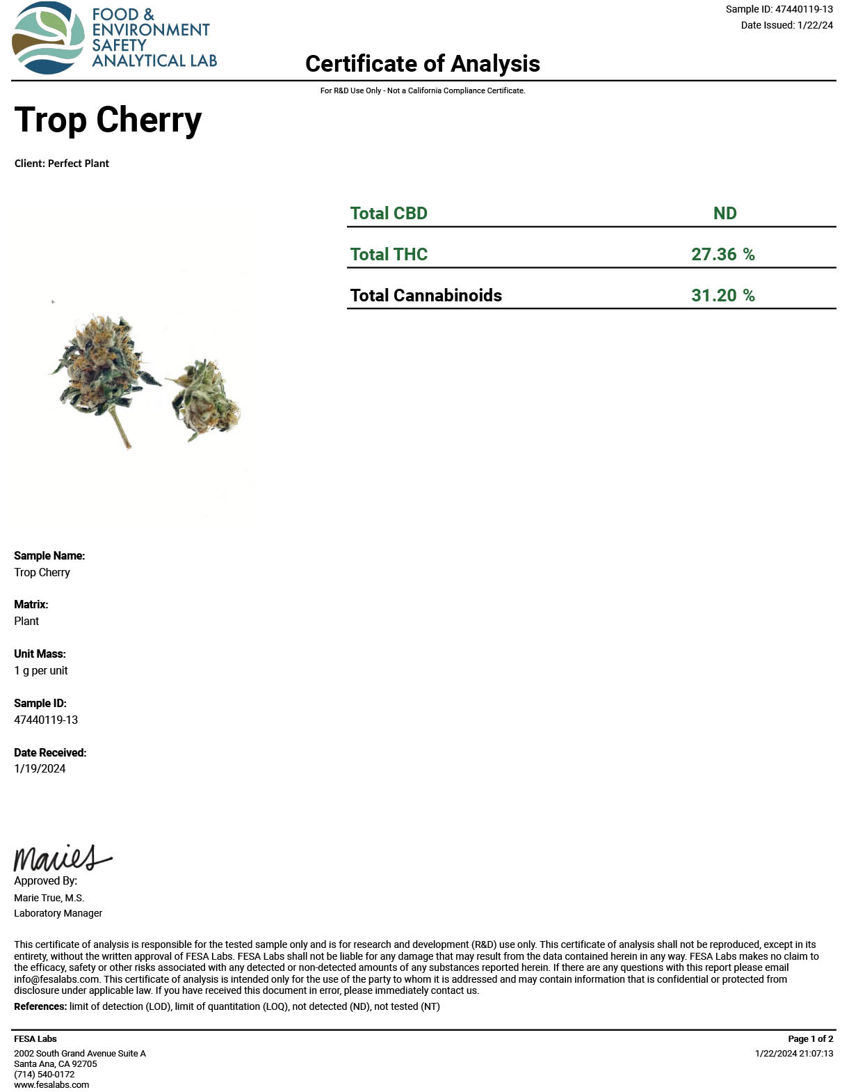 Trop Cherry THCA Flower