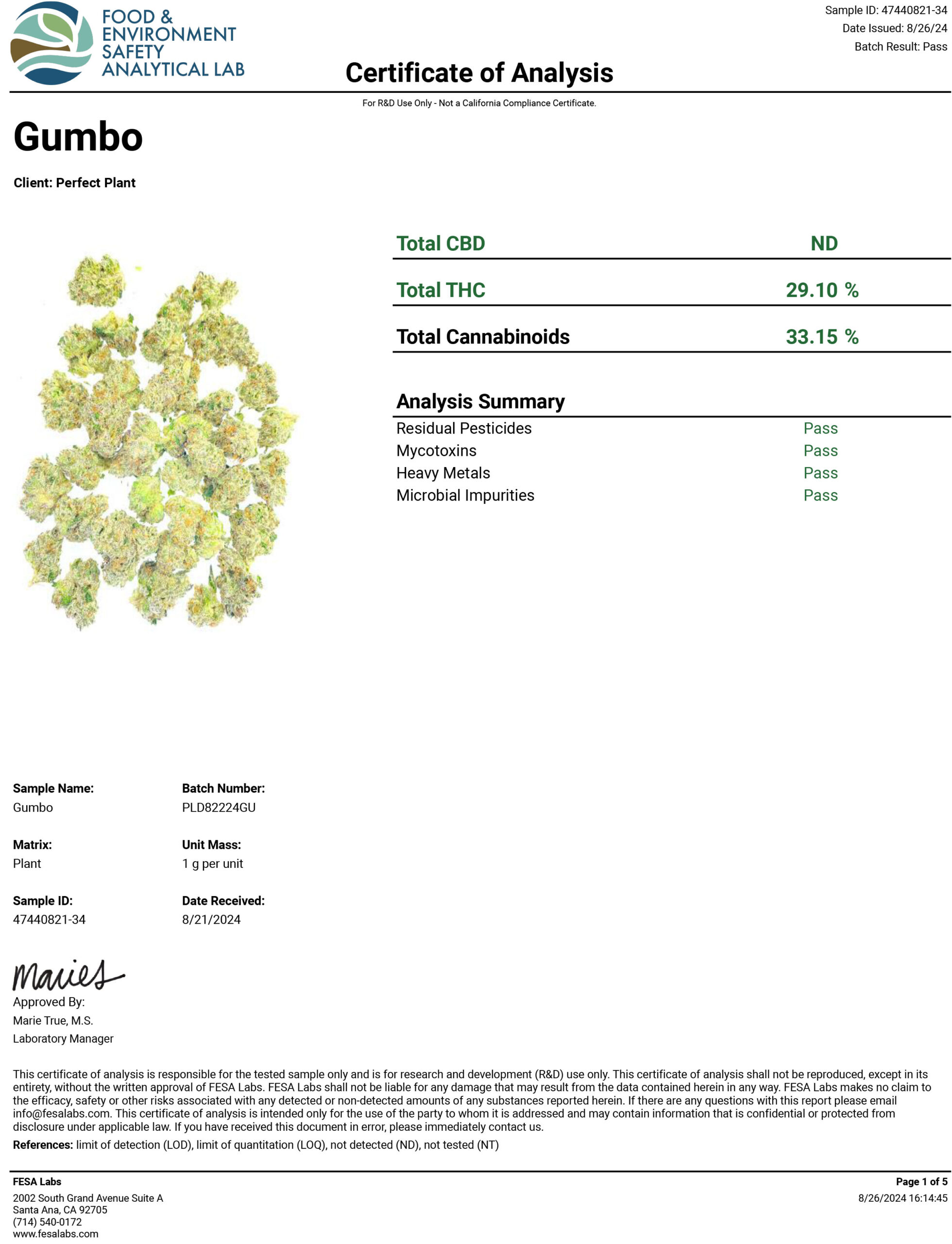 Gumbo THCA Flower