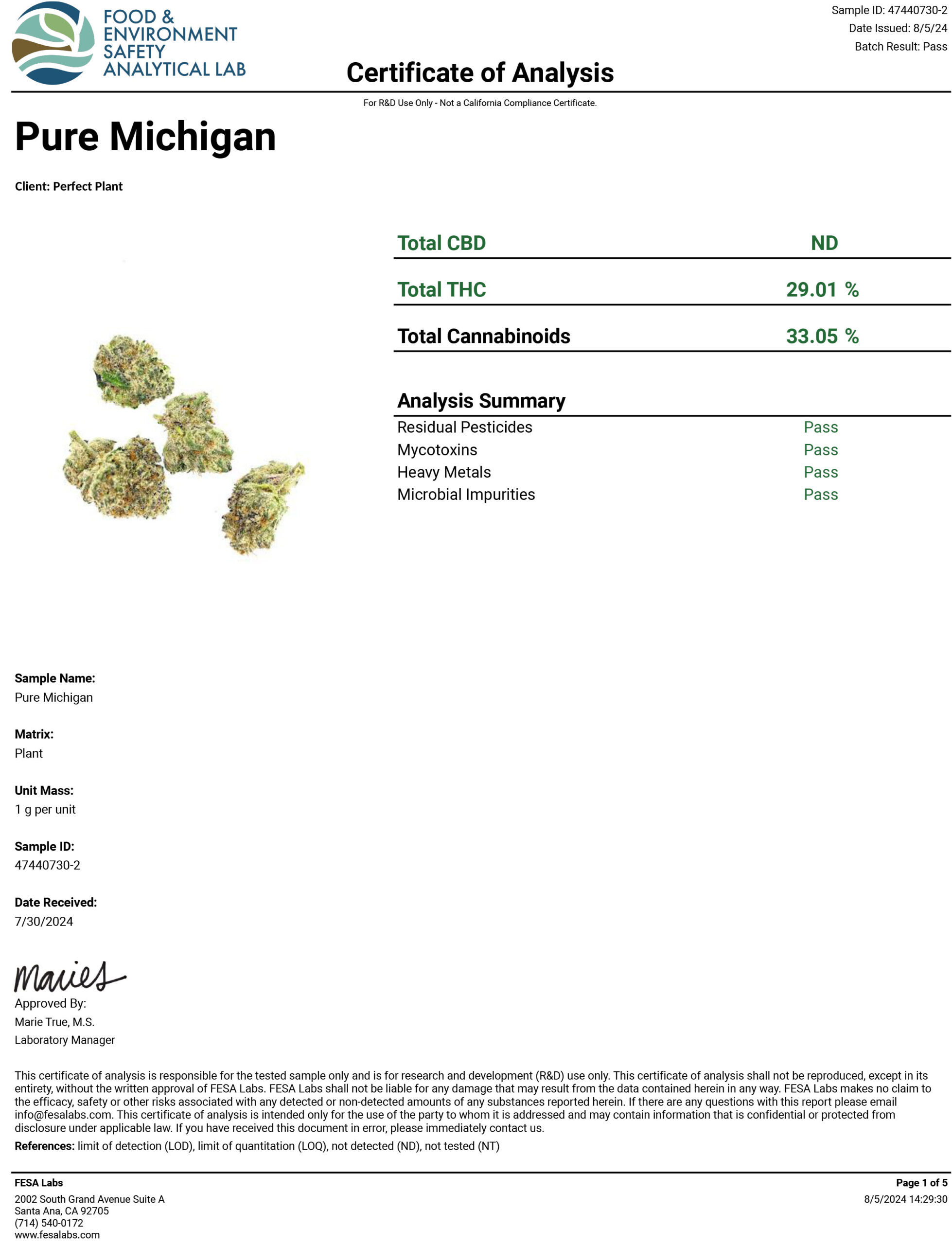 Pure Michigan THCA Flower